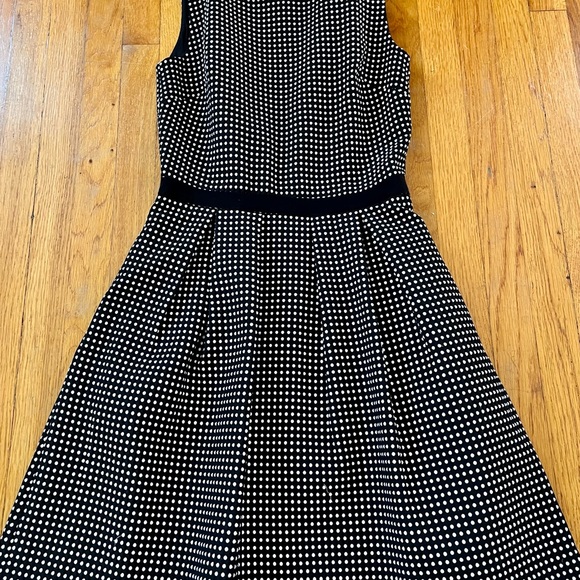 Erin Fetherston Size 4 Polka Dot Black and White Fit Flare Dress Sleeveless - Picture 14 of 16